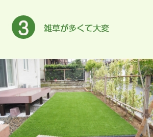 雑草が多くて大変